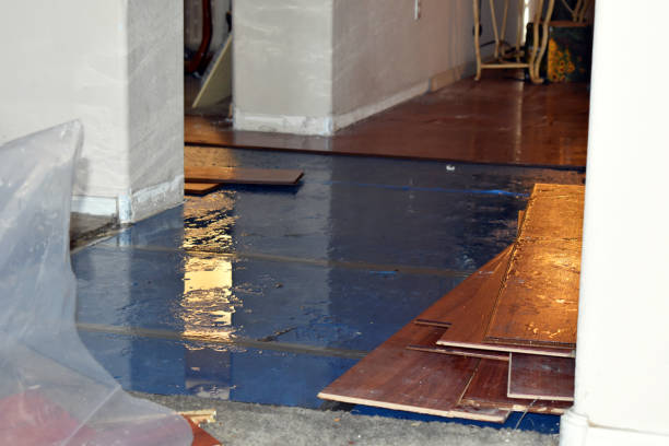 Professional Water Damage Restoration technician working in Winnsboro, TX